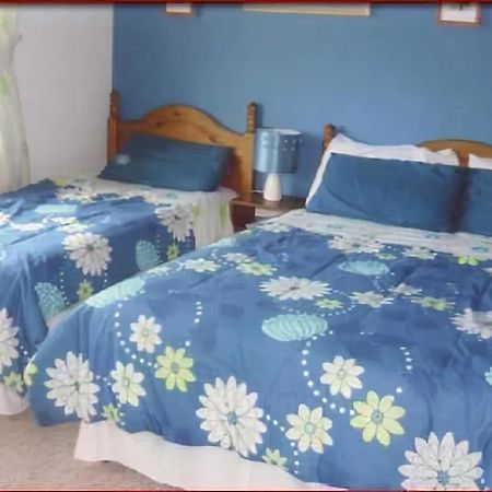 Belderg The Yellow Rose B&B מראה חיצוני תמונה
