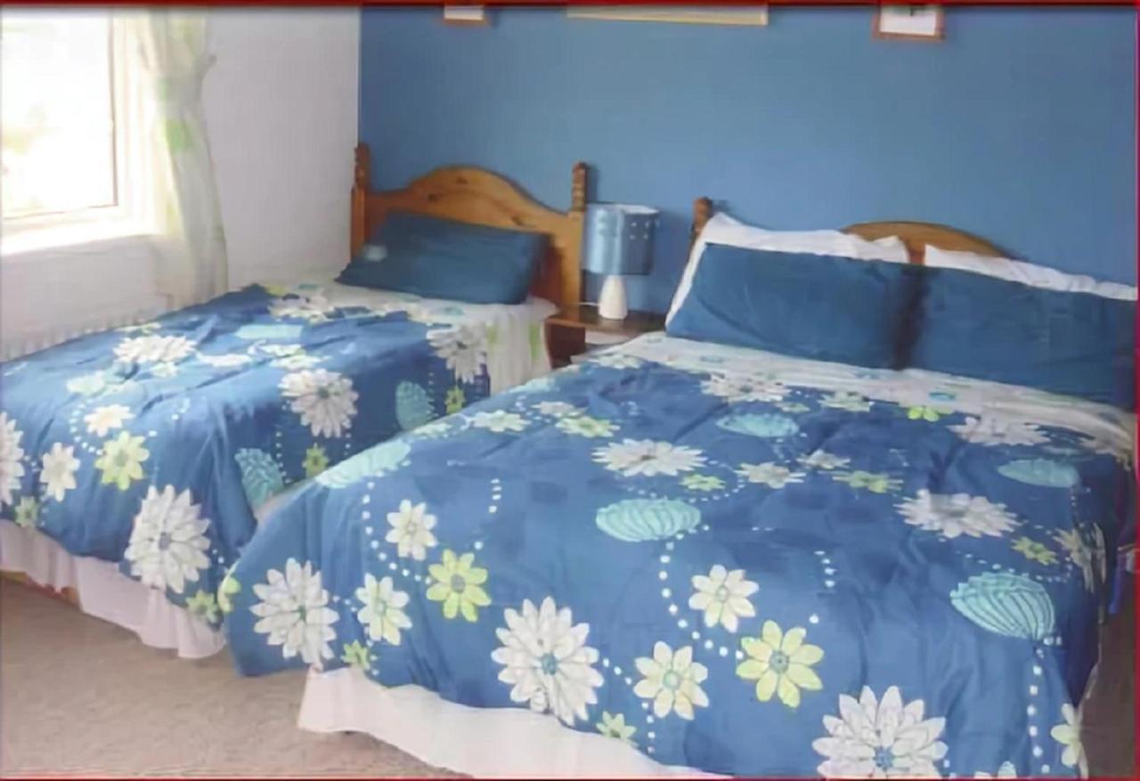 Belderg The Yellow Rose B&B מראה חיצוני תמונה